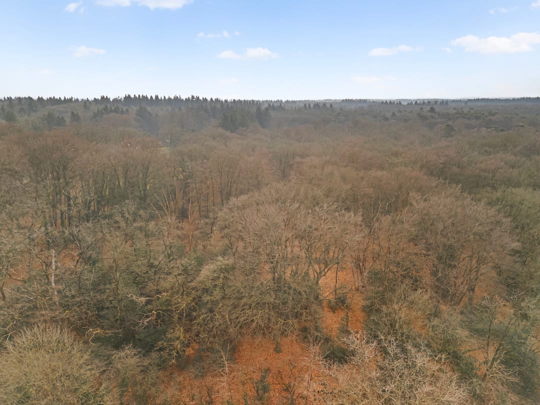 Photo 37 of Celsiusstraat 71