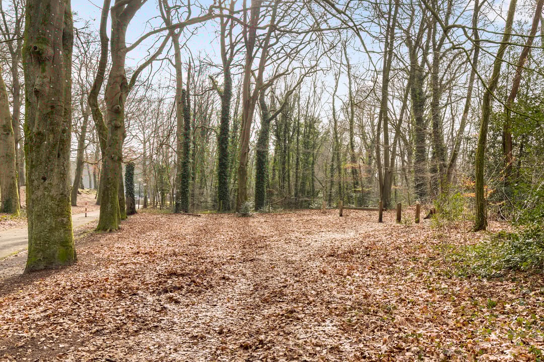 Photo 38 of Celsiusstraat 71