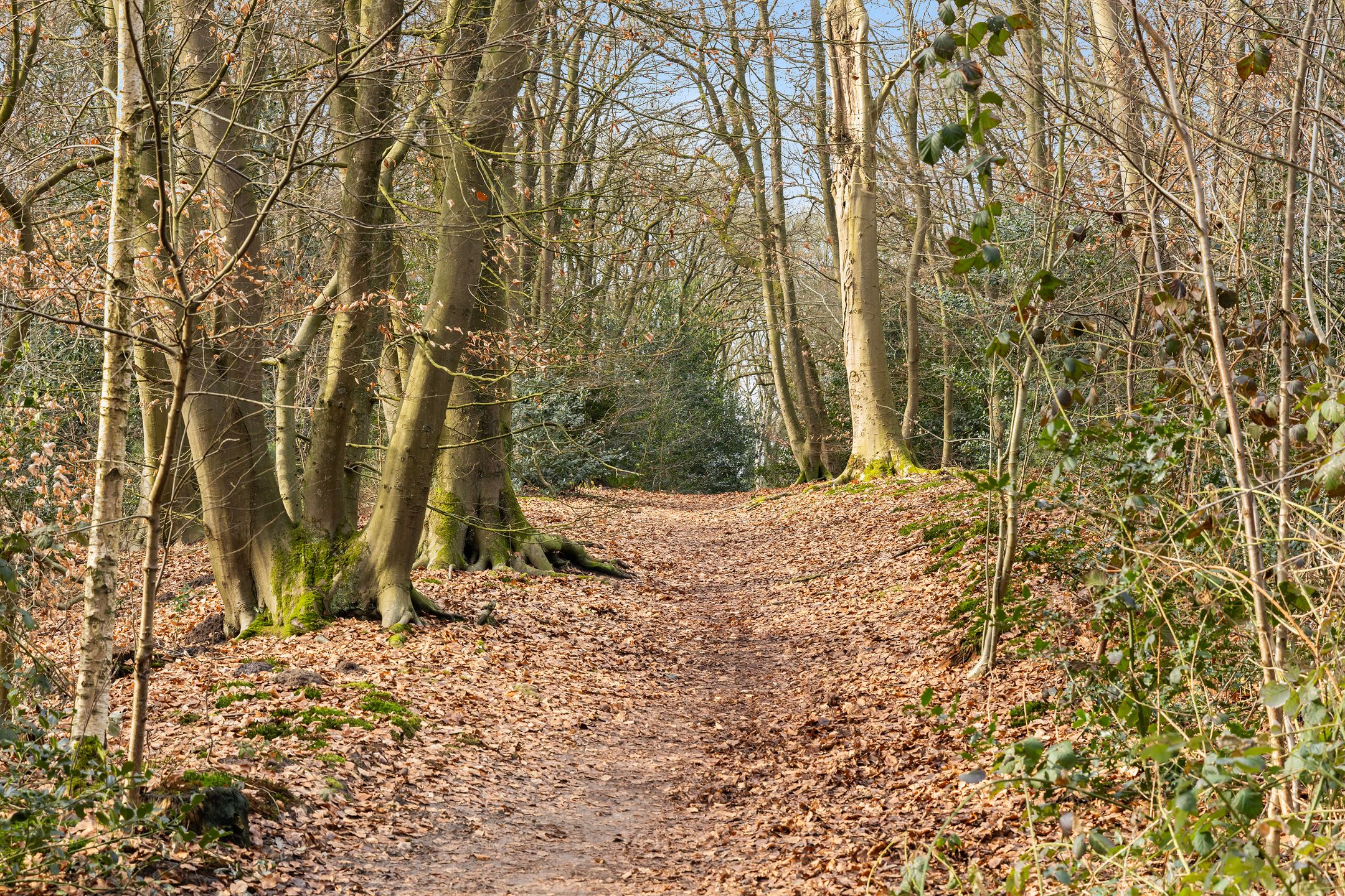 Photo 39 of Celsiusstraat 71