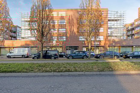 undefined main image