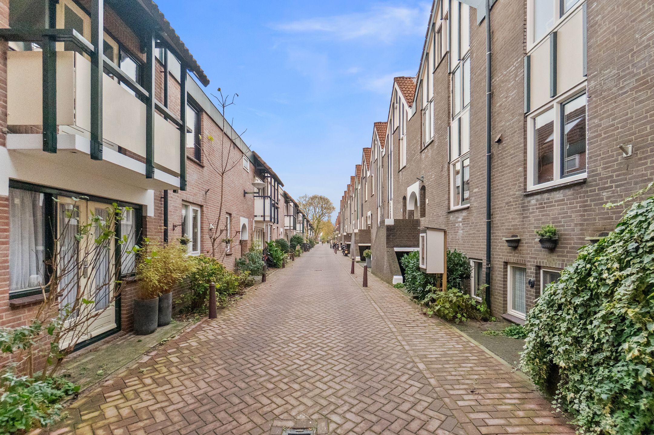 Foto 54 van Nimfkruidvaart 15