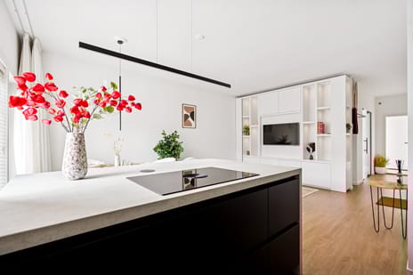 Adriaen van Ostadelaan 12-C tertiary image