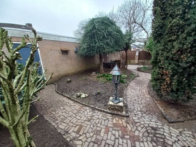 Foto 12 van Alexanderstraat 5