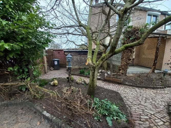 Foto 15 van Alexanderstraat 5