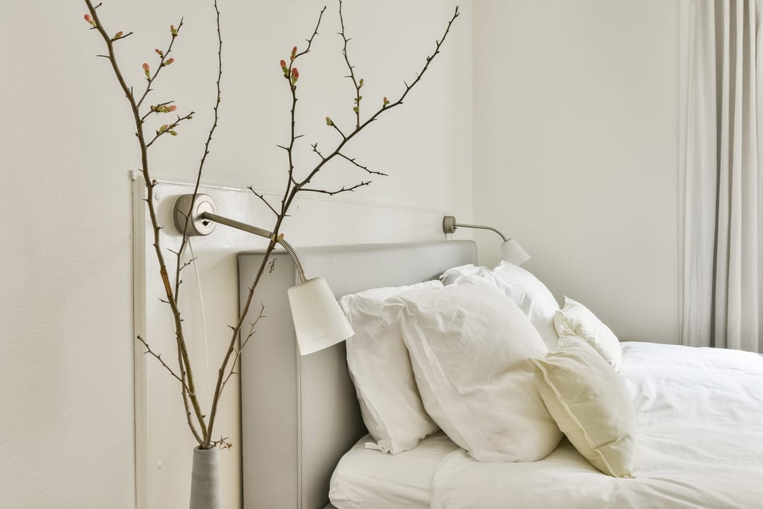 Foto 16 van Tweede Sweelinckstraat 5-C