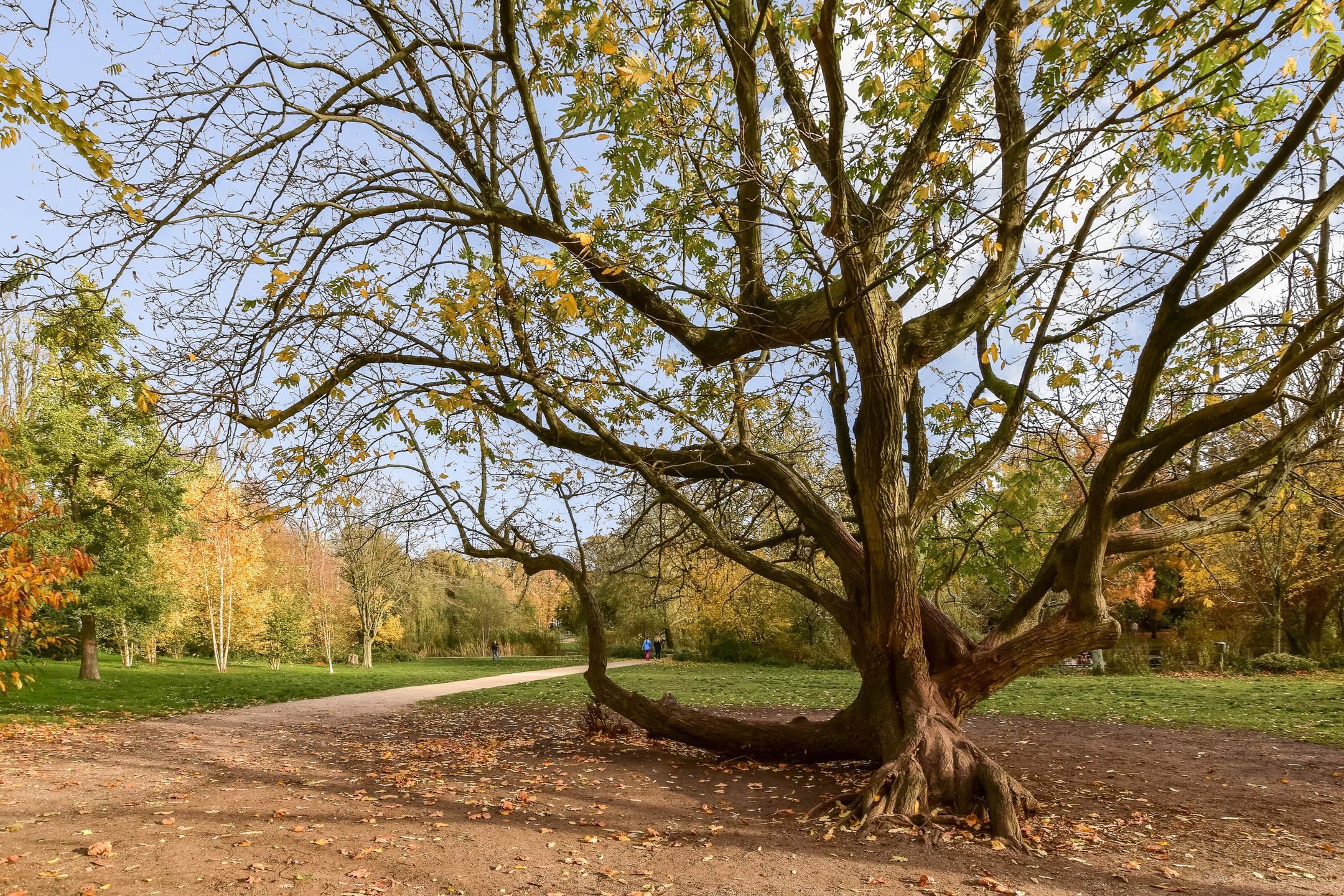 Foto 27 van Tweede Sweelinckstraat 5-C