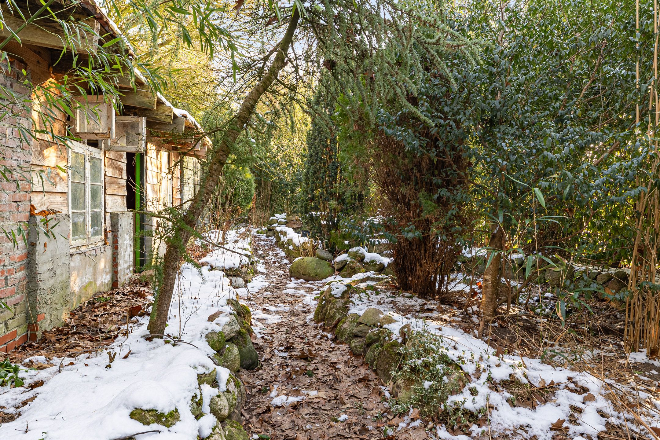 Foto 12 van Oldenburger Strasse 66