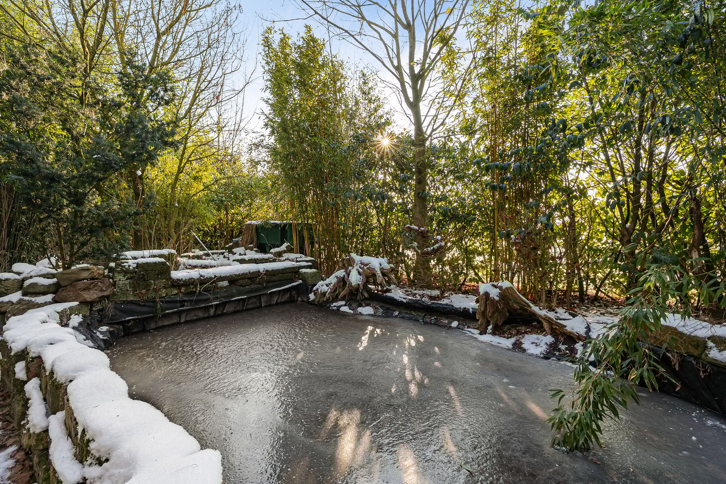 Foto 14 van Oldenburger Strasse 66