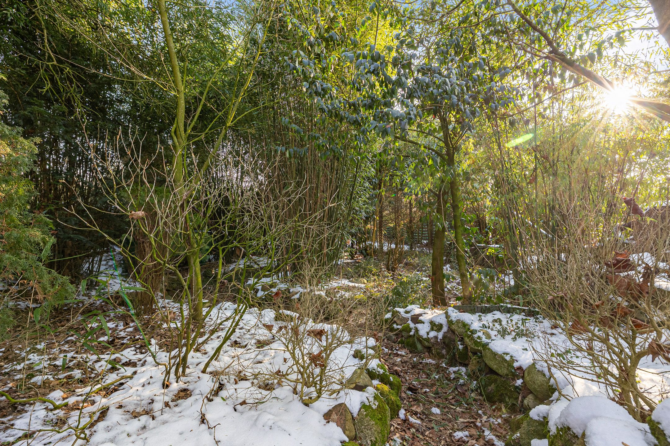 Foto 15 van Oldenburger Strasse 66