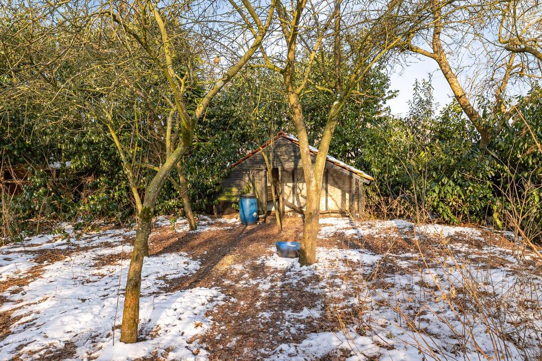 Foto 8 van Oldenburger Strasse 66