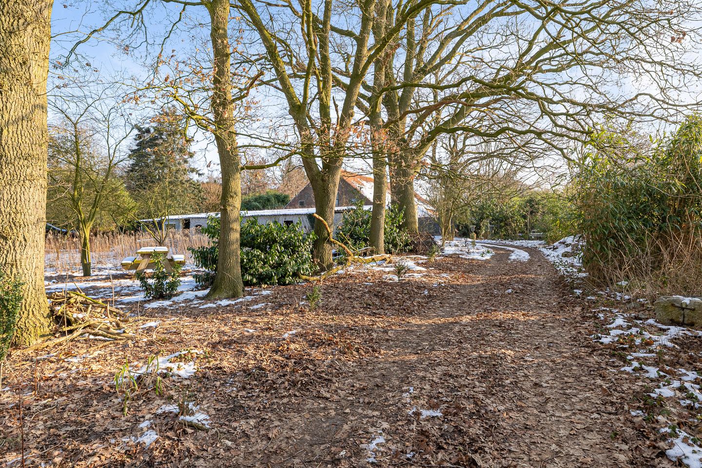 Foto 10 van Oldenburger Strasse 66