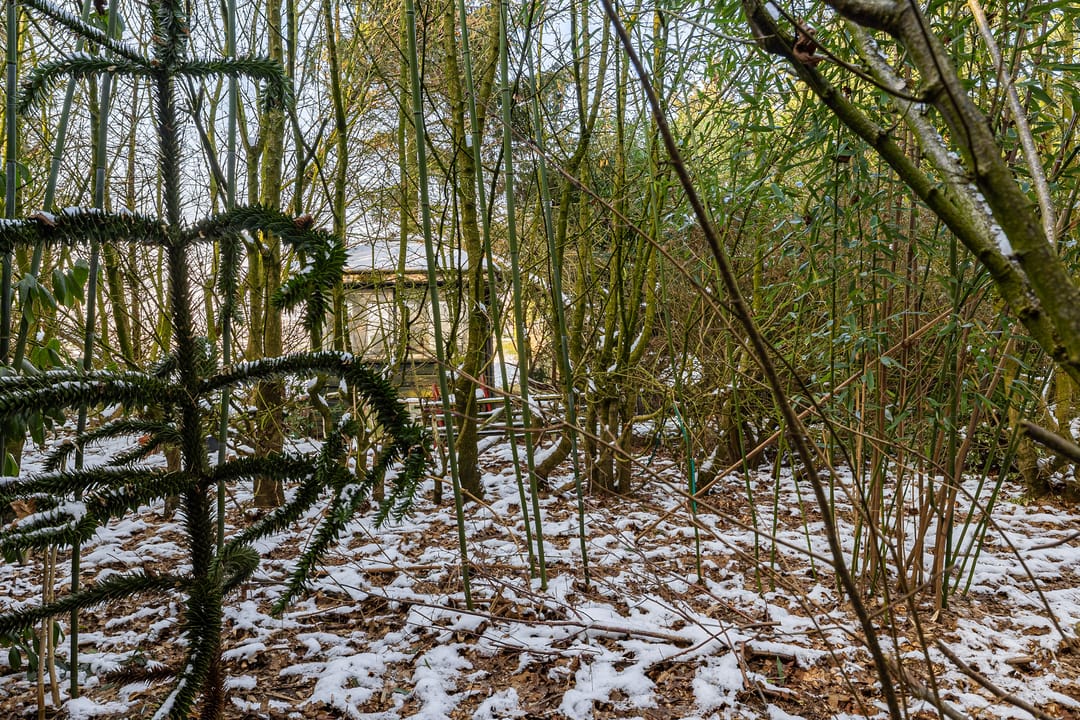 Foto 26 van Oldenburger Strasse 66