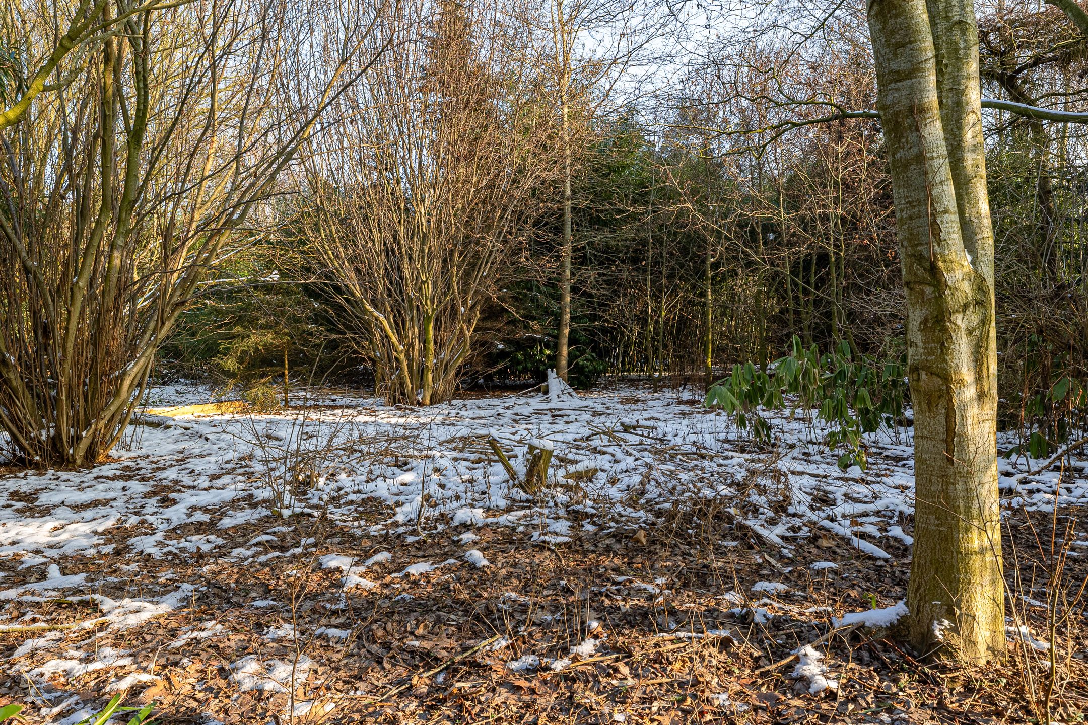 Foto 27 van Oldenburger Strasse 66