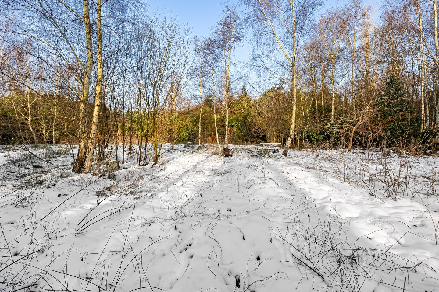 Foto 29 van Oldenburger Strasse 66