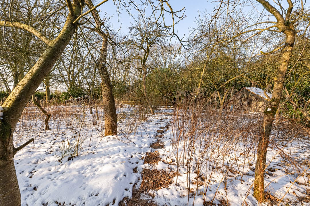 Foto 7 van Oldenburger Strasse 66