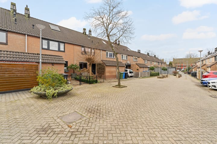 Foto 4 van Papaver 11