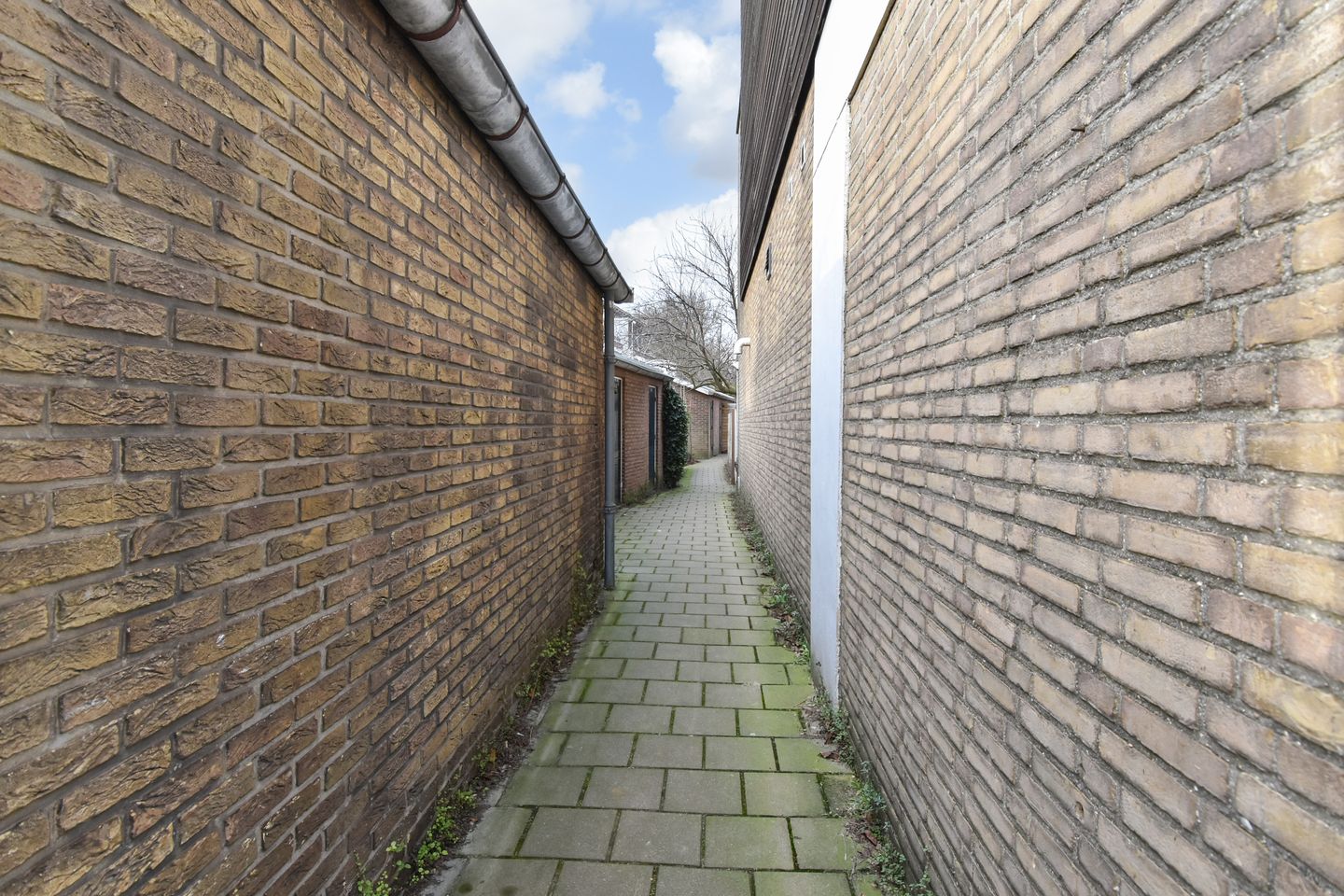 Foto 35 van Goudenregenstraat 269