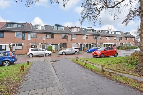 undefined main image