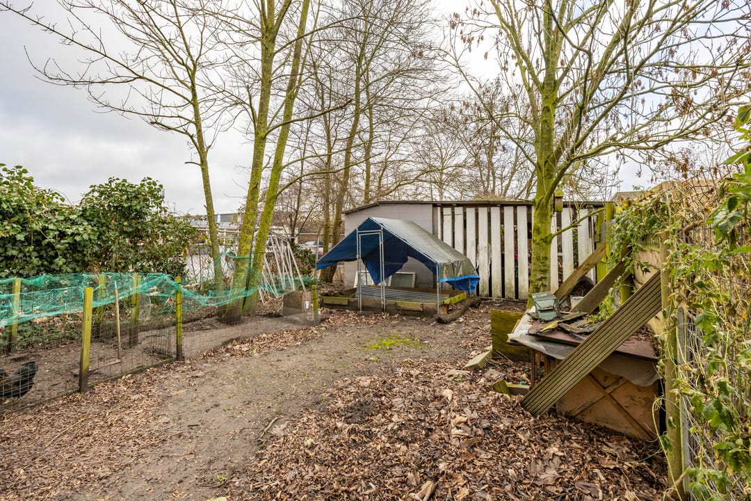 Foto 52 van Hoendiep 300