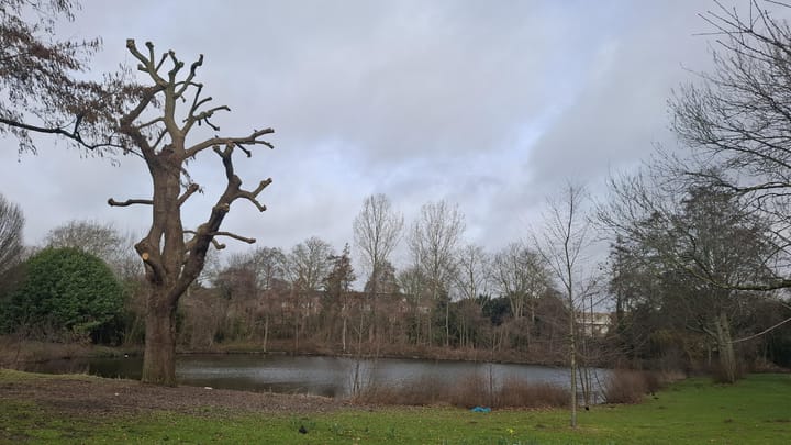 Photo 13 of Troelstraweg 38