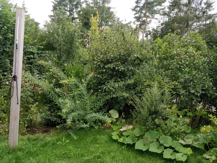 Photo 18 of Oude Garderenseweg 3-105