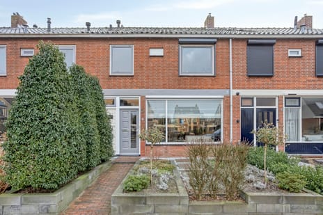 Bumastraat thumbnail