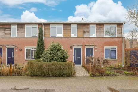 undefined main image