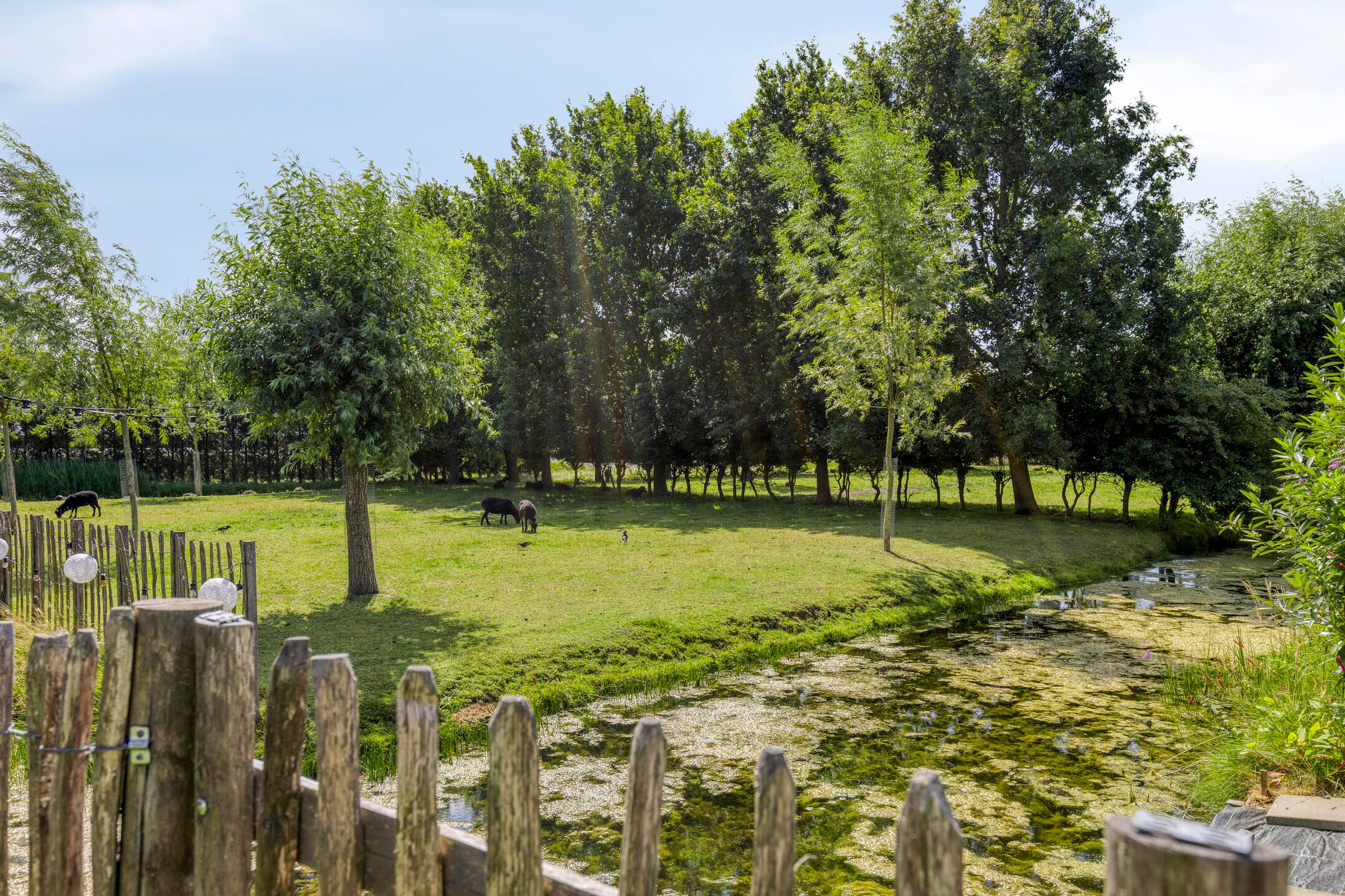 Foto 60 van Arent van Gentlaan 43