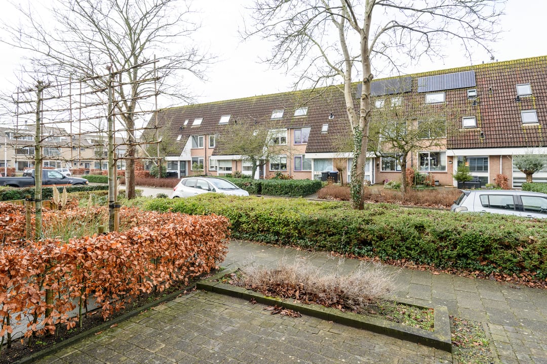 Foto 2 van Ranonkelstraat 5