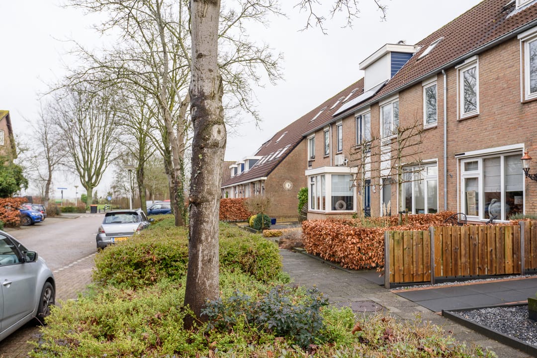 Foto 22 van Ranonkelstraat 5