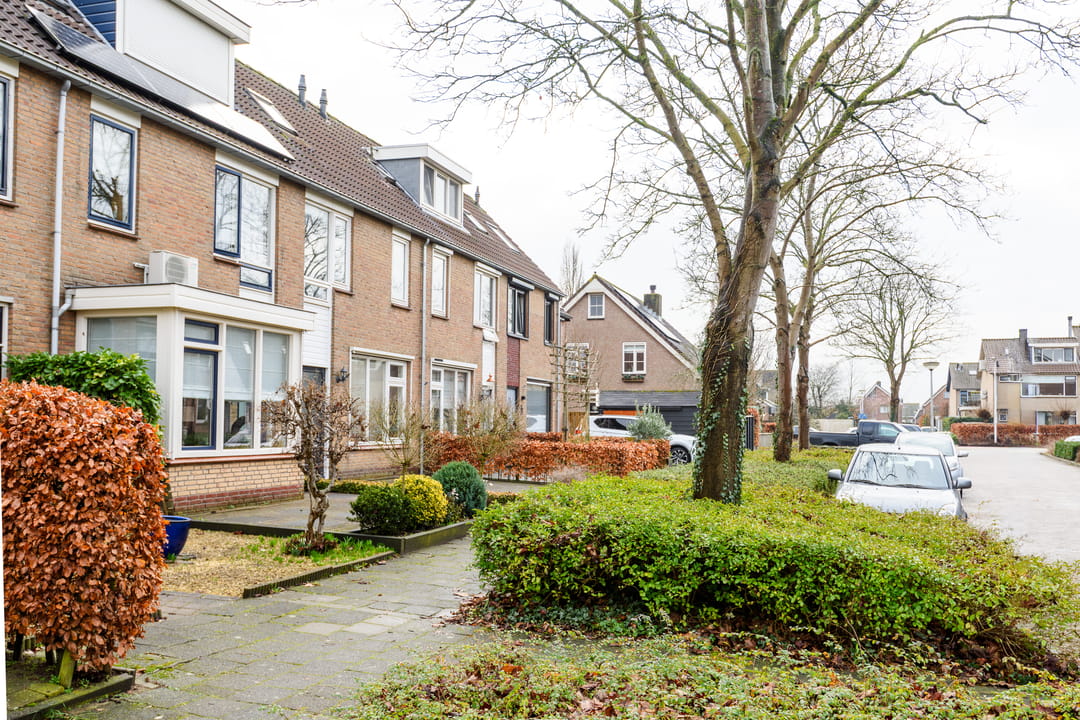 Foto 23 van Ranonkelstraat 5