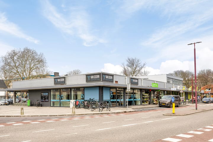 Foto 42 van Wijnesteijnstraat 35