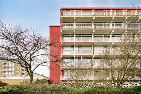 Jacques Urlusplantsoen thumbnail