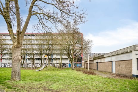 Jacques Urlusplantsoen 268 tertiary image