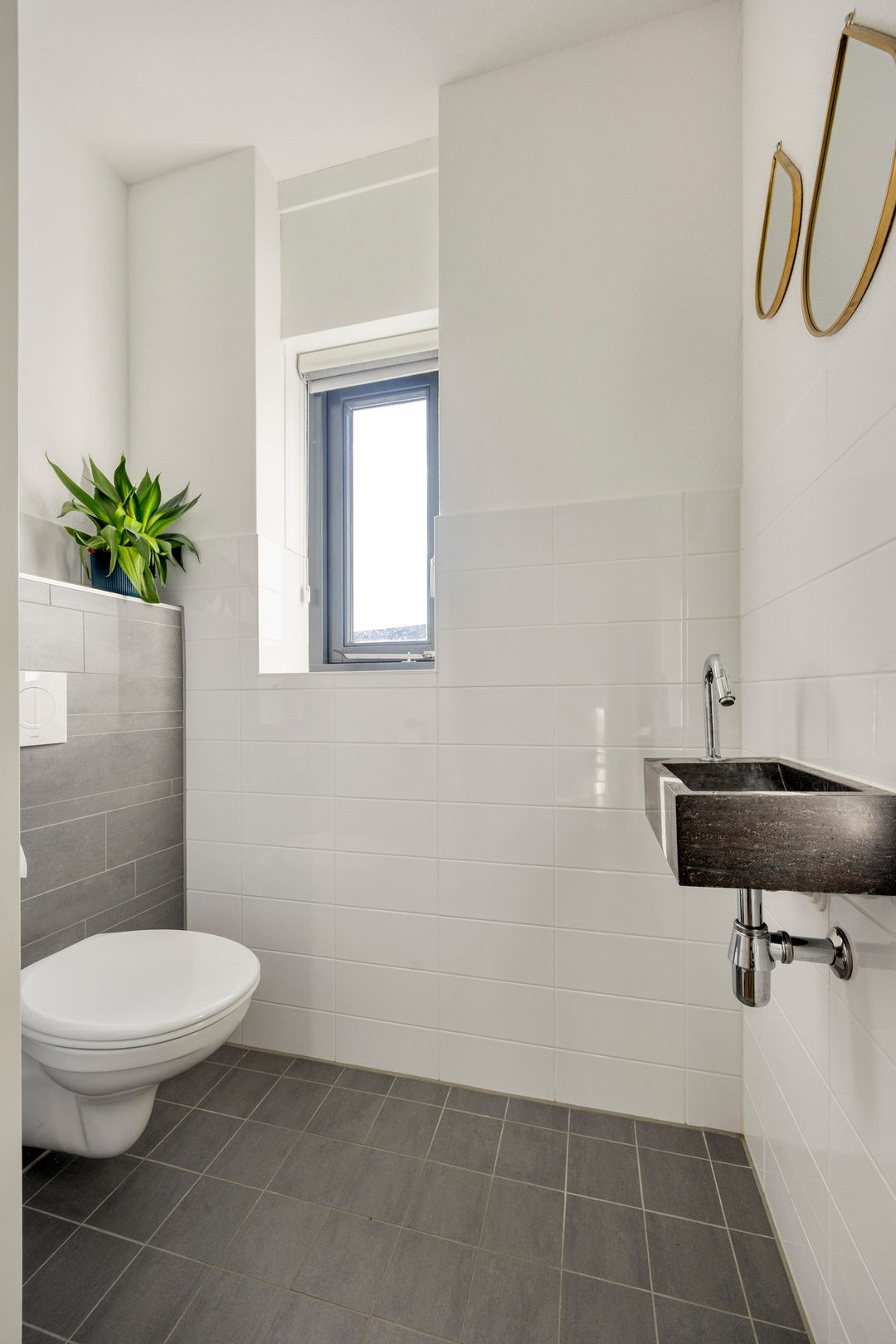 Foto 8 van Cornelis Lelyhage 36