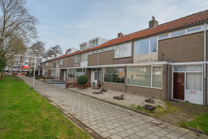 Foto 3 van Pieter Borpad 4