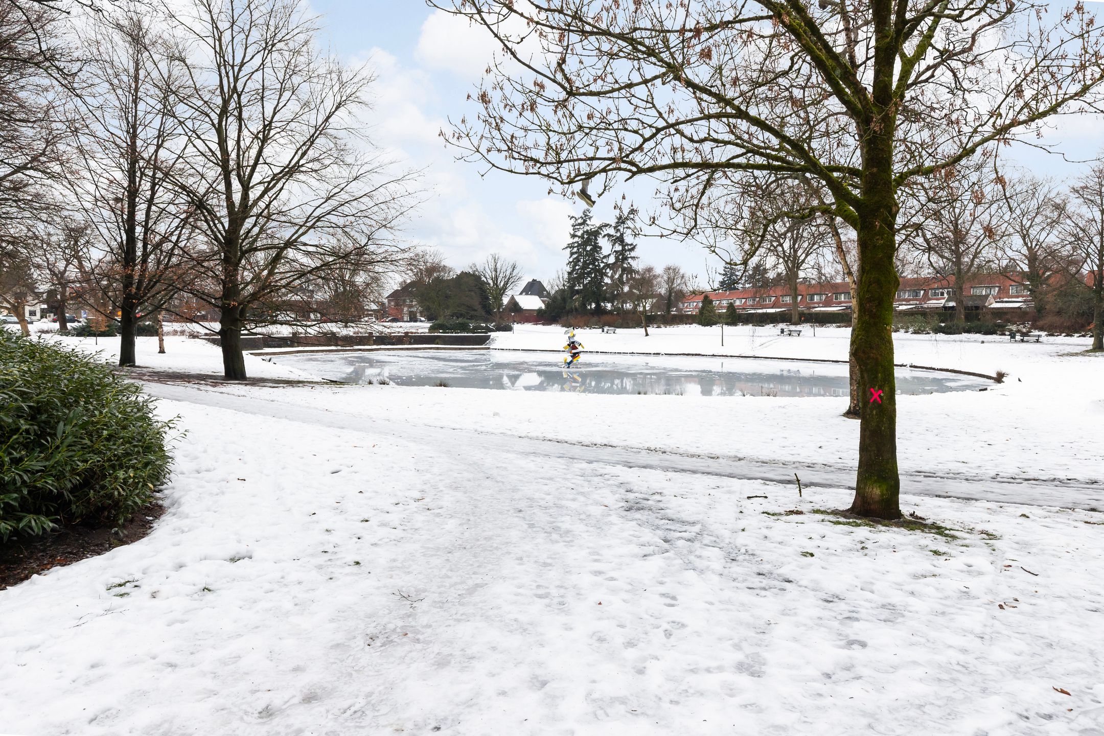 Photo 27 of Henri Dunantlaan 253