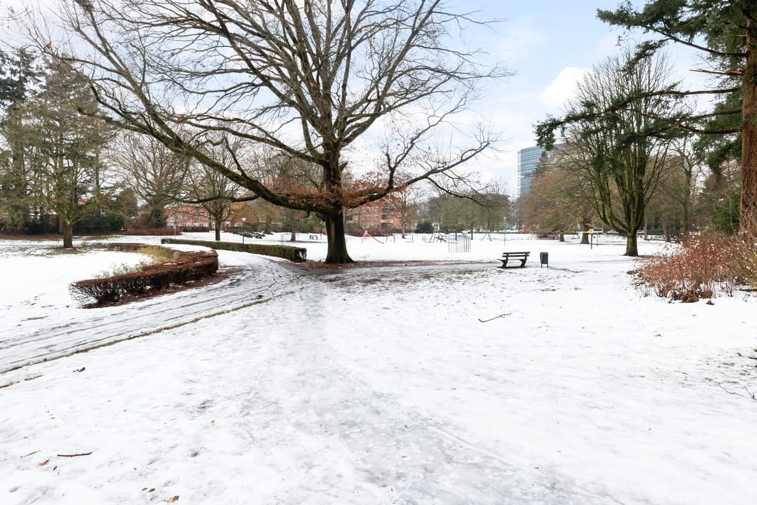 Photo 28 of Henri Dunantlaan 253