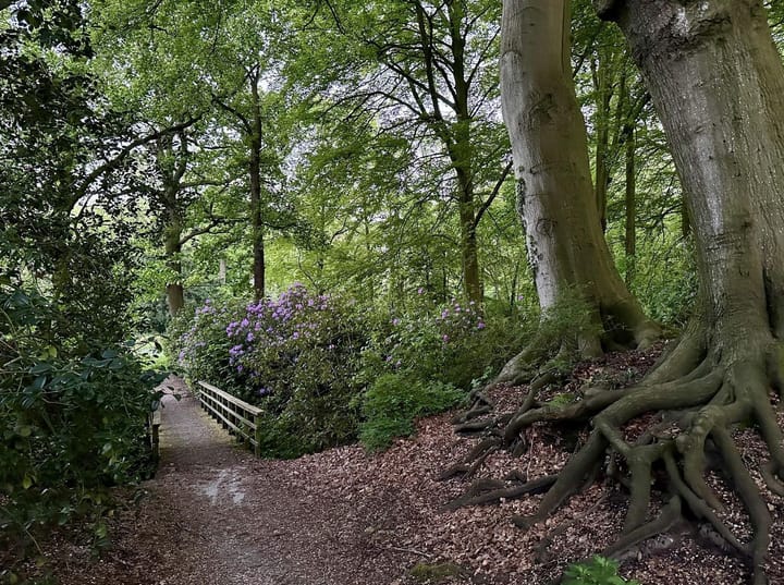 Photo 25 of Generaal Spoorlaan 197