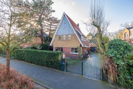 Willinklaan thumbnail