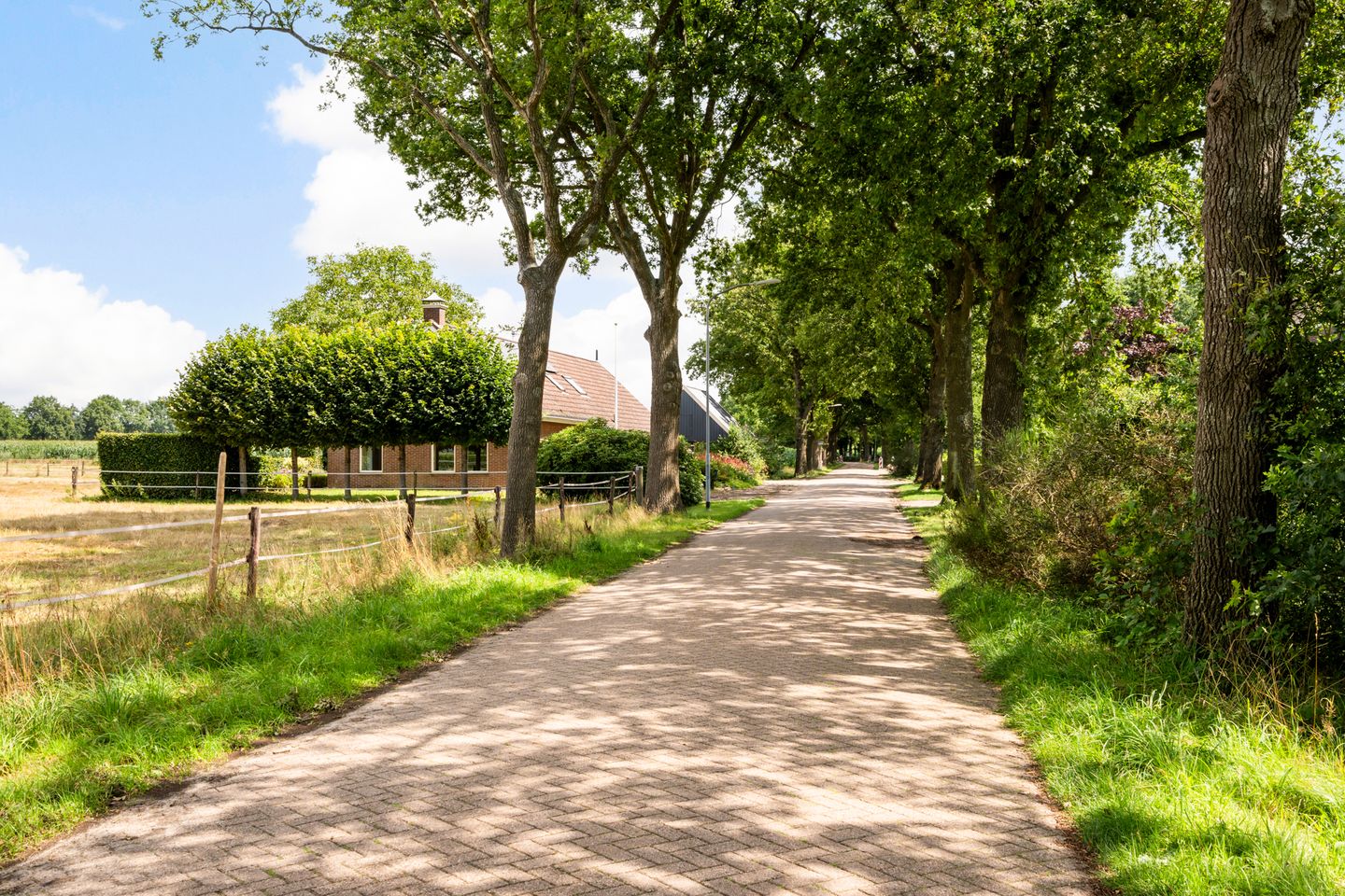 Foto 40 van Alting 25