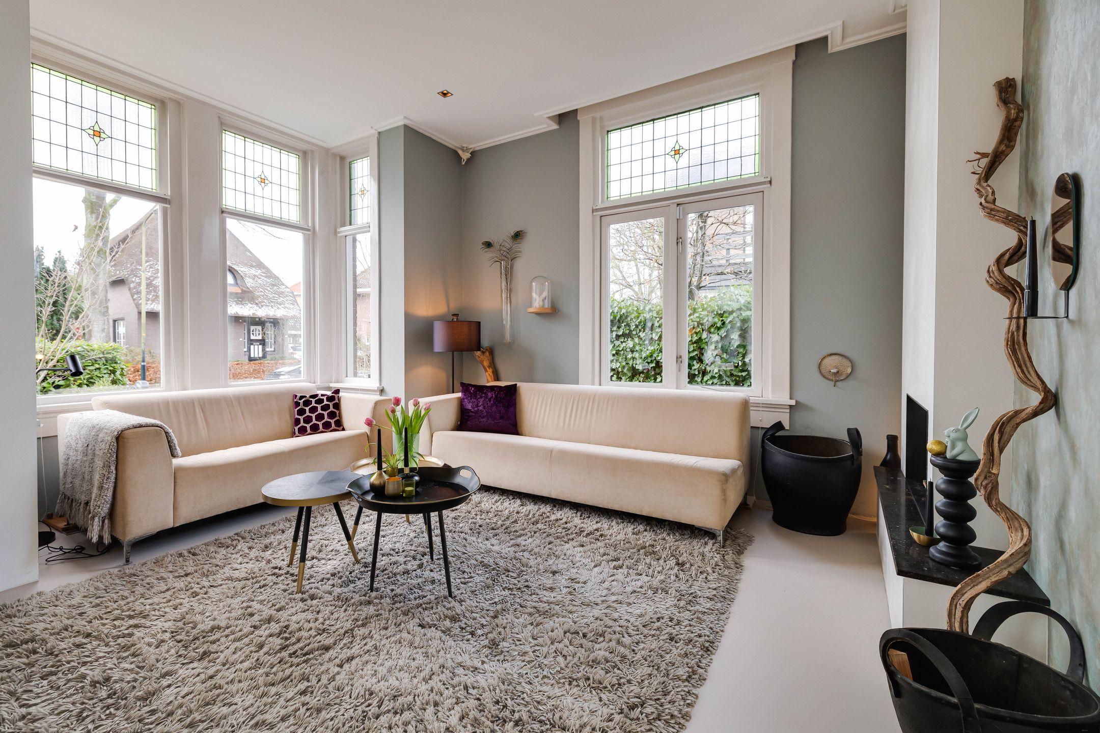 Foto 3 van Anna Paulownalaan 18