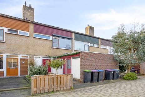 undefined main image