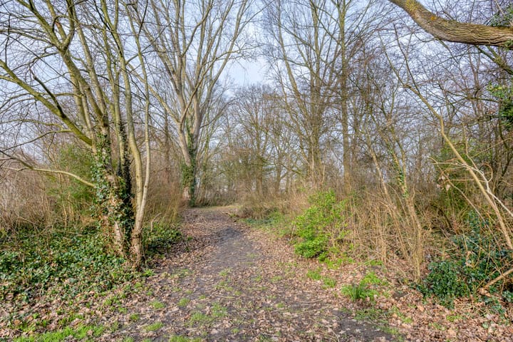 Foto 49 van Ribesstraat 12