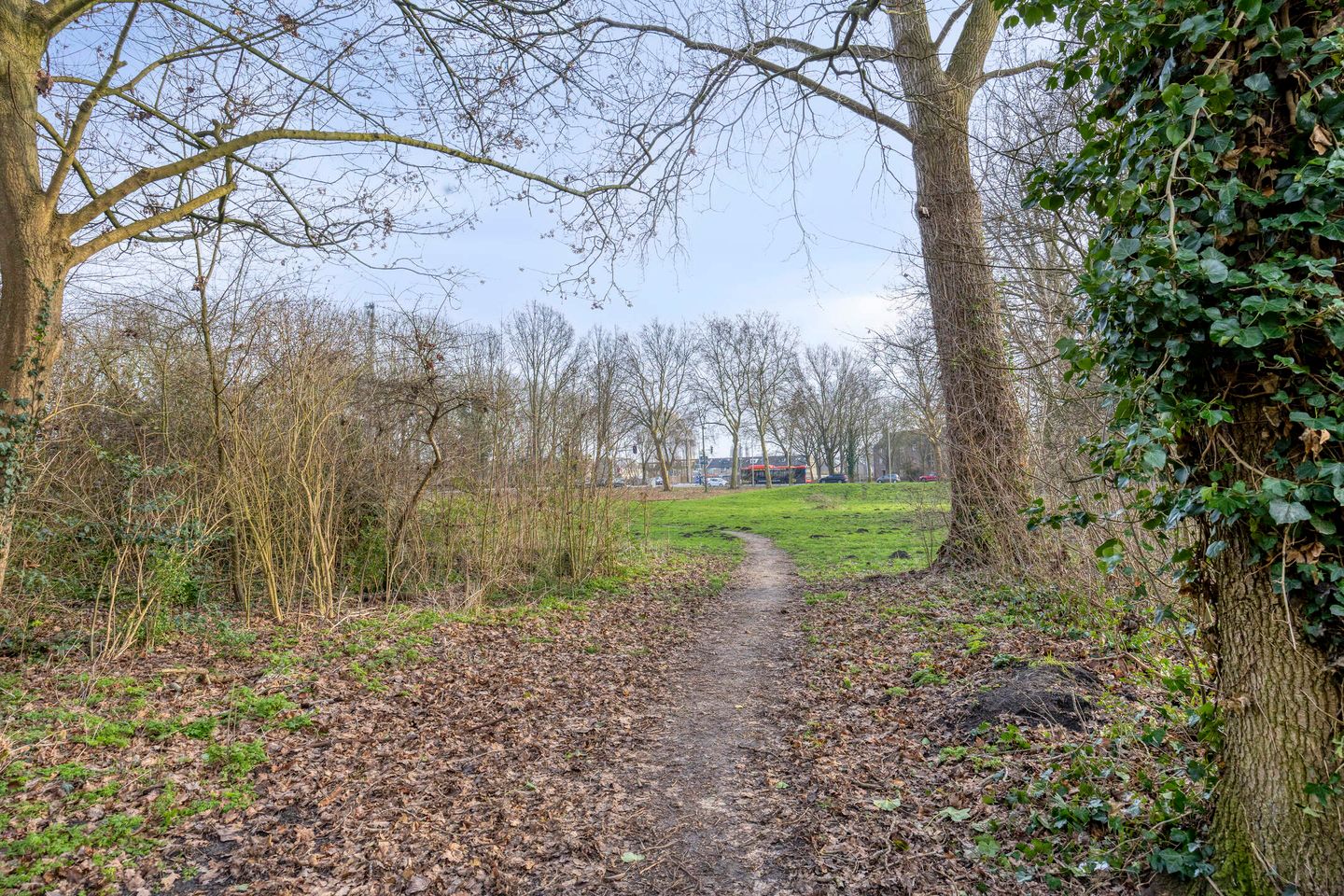 Foto 50 van Ribesstraat 12