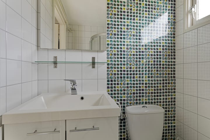 Foto 15 van Proefpolder 234