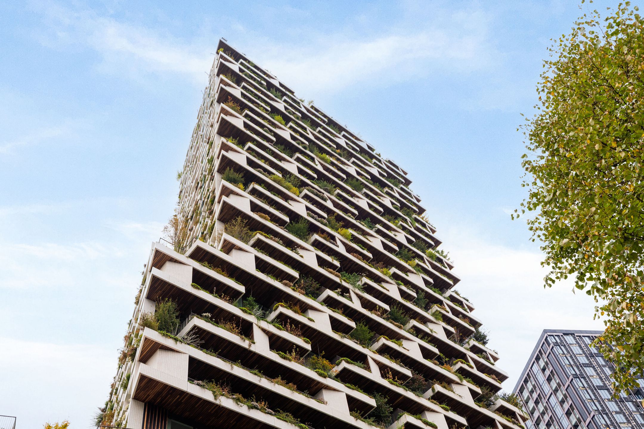 Foto 6 van Hoola van Nootenstraat 331