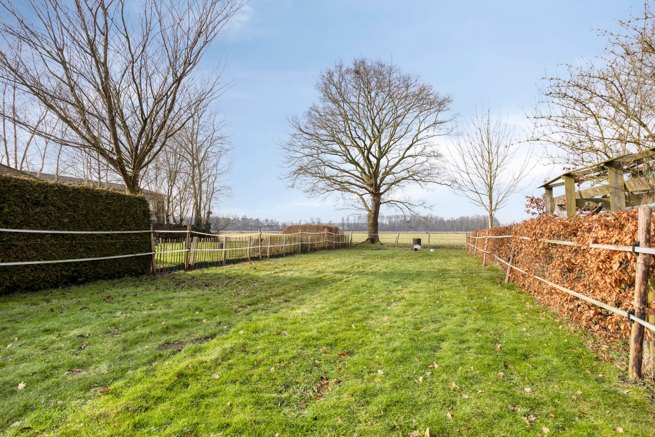 Foto 30 van Foarwurk 15