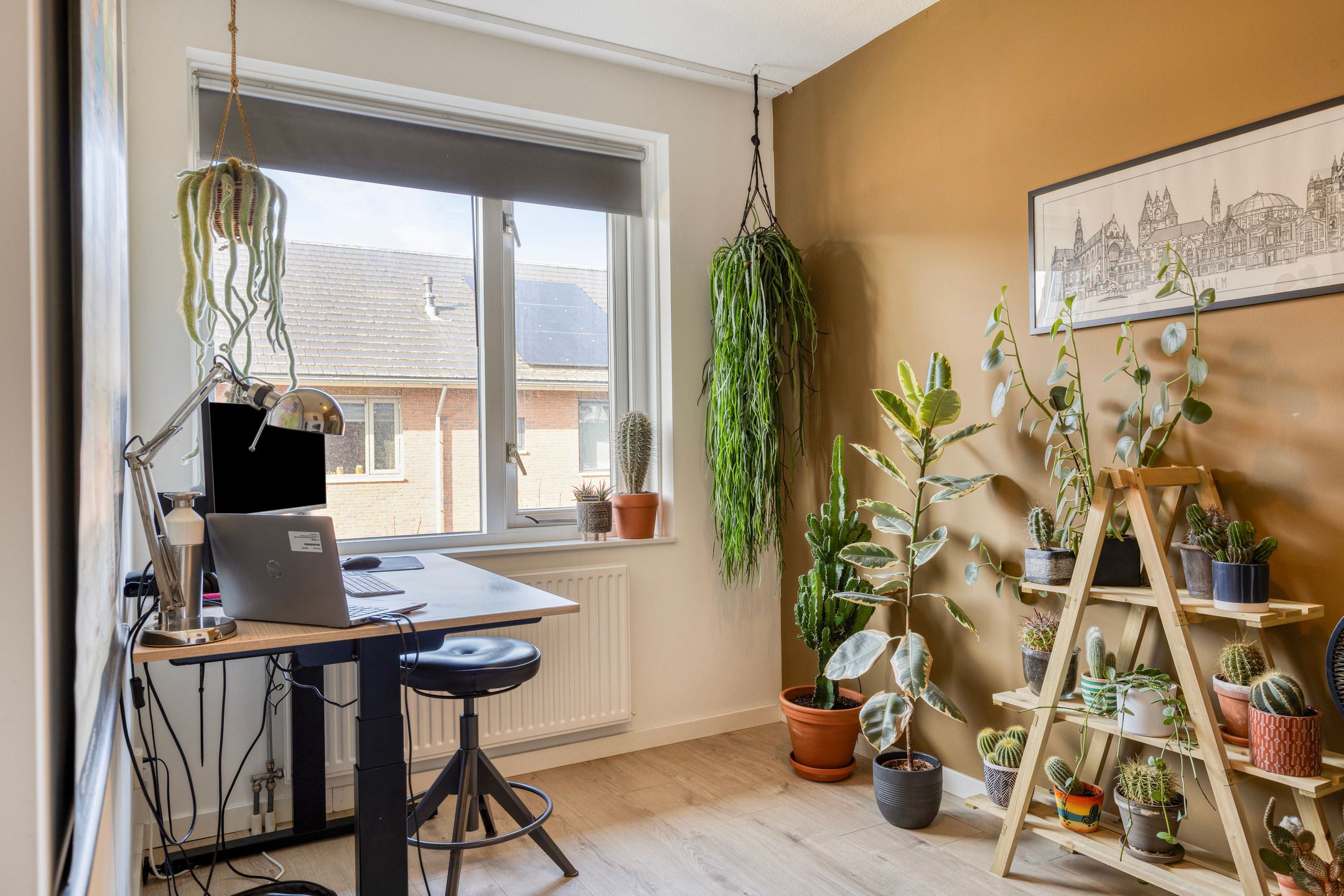 Photo 15 of Kleiput 5