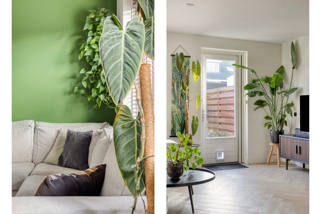 Photo 7 of Kleiput 5